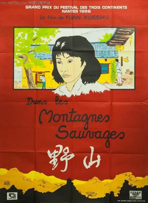 高仿荷兰护照